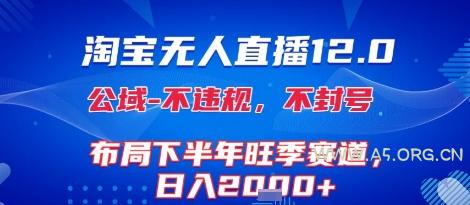 淘宝无人直播12.0，不封号，不违规，布局下半年旺季赛道，日入1k+(独家技术)【揭秘】-A5资源网