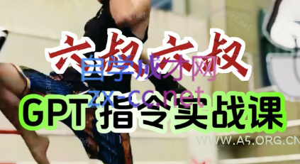 六叔的AI指令实战课(更新7月)-A5资源网