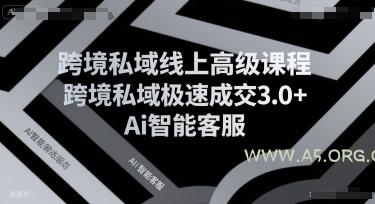 跨境私域线上高级课程，跨境私域极速成交3.0+Ai智能客服-A5资源网