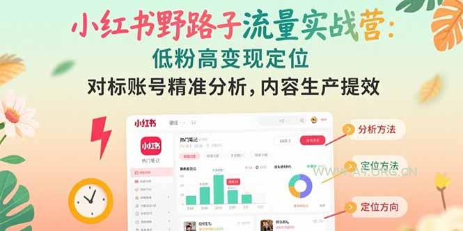 小红书野路子流量实战营：低粉高变现定位 对标账号精准分析 内容生产提效-A5资源网