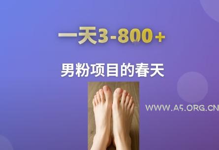 AI一键生成美女素材，一天收益3-8张，男粉项目的春天-A5资源网