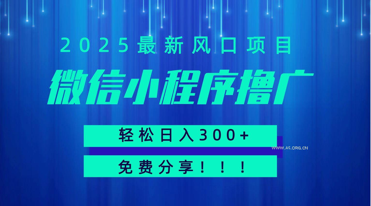 微信小程序撸广，最新风口项目，日入300+ 免费分享 可批量操作 小白可轻松上手！！-A5资源网