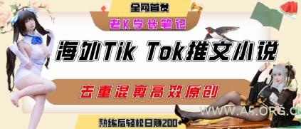 海外tiktok小说推文暴力项目，高停留率，高转化率，上手后一天搞顿饭钱不是问题-A5资源网