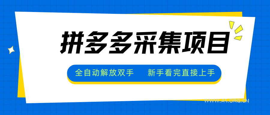 拼多多采集项目，全自动解放双手，单号日入30+-A5资源网