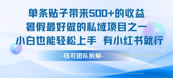 单条贴子带来5张的收益，暑假最好做的私域项目之一，小白也能轻松上手，有小红书就行-A5资源网