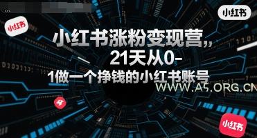 小红书涨粉变现营，21天从0-1做一个挣钱的小红书账号-A5资源网