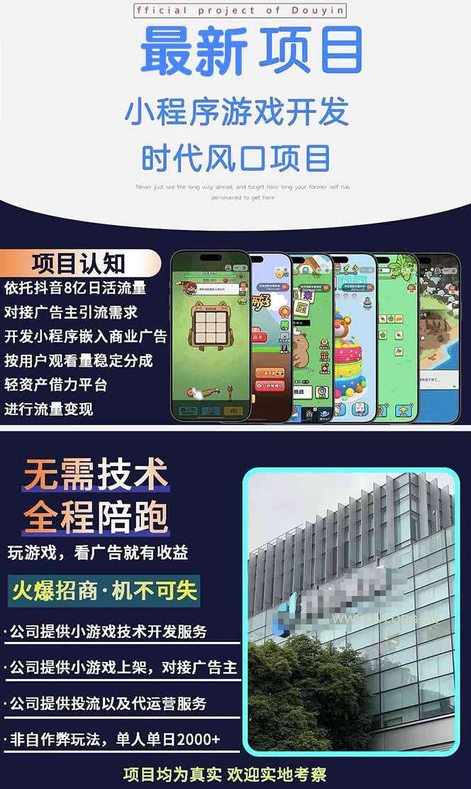 图片[1]-2025最热抖音项目 Ai时代风口项目小程序游戏开发 实测单个游戏日收入1800+-A5资源网