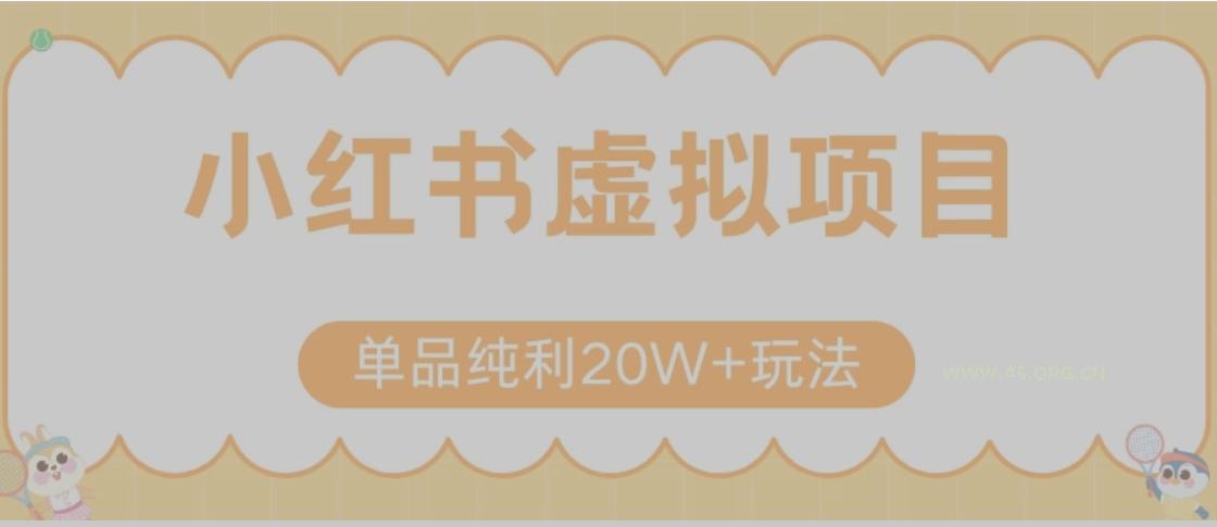 小红书卖虚拟产品，单品纯利20W+玩法分享（节系列课程）-A5资源网