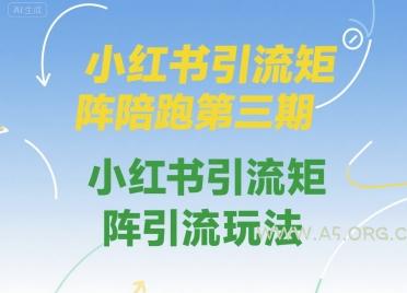 小红书引流矩阵陪跑第三期，小红书引流矩阵引流玩法-A5资源网