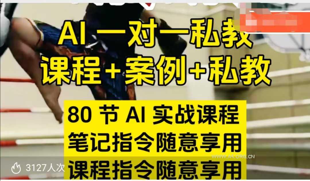AI指令实战课，课程+案例，80节AI实战课程，笔记指令随意享用，课程指令随意享用(更新7月)-A5资源网