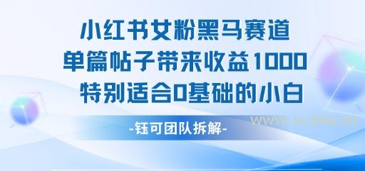 小红书女粉黑马赛道单篇帖子带来收益1k+，特别适合0基础的小白-A5资源网