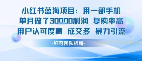 小红书蓝海项目，一部手机单月做了3W利润，小白也能月入过1W用户认可度高成交多-A5资源网