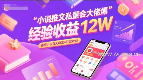 小说推文私董会大佬爆单经验分享收益12W，番茄小说每天稳定4位数收益-A5资源网