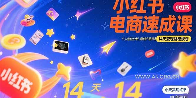 小红书虚拟电商速成课：个人定位分析，原创产品开发，14天变现路径规划-A5资源网