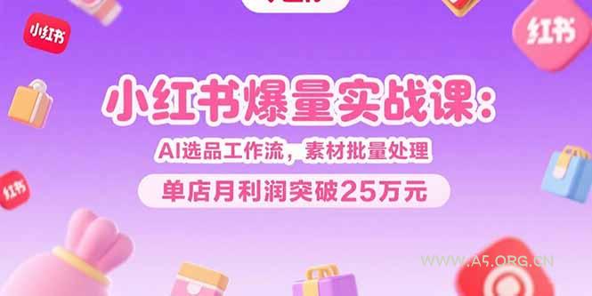 小红书爆量实战课：AI选品工作流，素材批量处理，单店月利润突破25万元-A5资源网