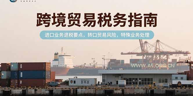 跨境贸易税务指南，进口业务退税要点，转口贸易风险，特殊业务处理-A5资源网