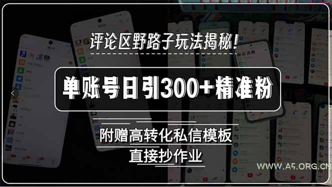 评论区野路子玩法揭秘！单账号日引300+精准粉，附赠高转化私信模板，直…-A5资源网