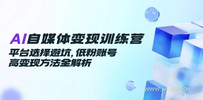 AI自媒体变现训练营，平台选择避坑，低粉账号高变现方法全解析-A5资源网