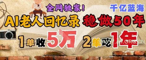 AI帮老人写回忆录，可以稳做50年的蓝海赛道，一单收2-3W，2单吃一年，长久可持续-A5资源网