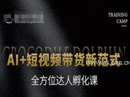 AI+短视频带货新范式，全方位达人孵化课-A5资源网