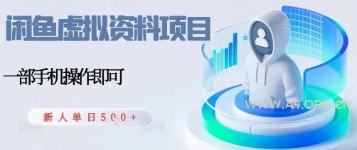 闲鱼虚拟资料项目，每天一小时，新人日入5张-A5资源网