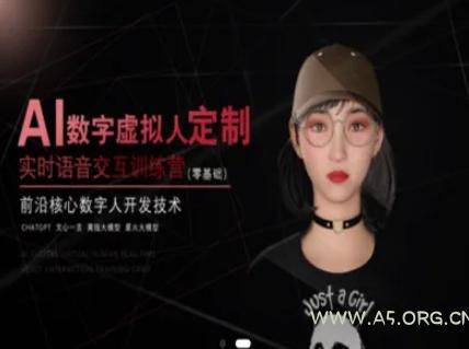 AI数字虚拟人定制，实时语音交互训练营(零基础)，前沿核心数字人开发技术-A5资源网