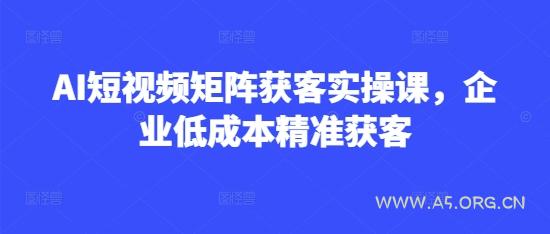 AI短视频矩阵获客实操课，企业低成本精准获客-A5资源网