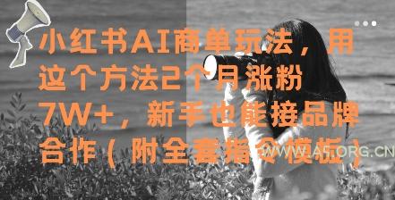 小红书AI商单玩法，用这个方法2个月涨粉7W+，新手也能接品牌合作(附全套指令模板)-A5资源网