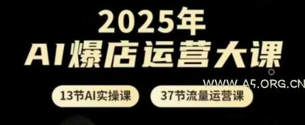 2025年AI爆店运营大课，13节AI实操课+37节流量运营课-A5资源网