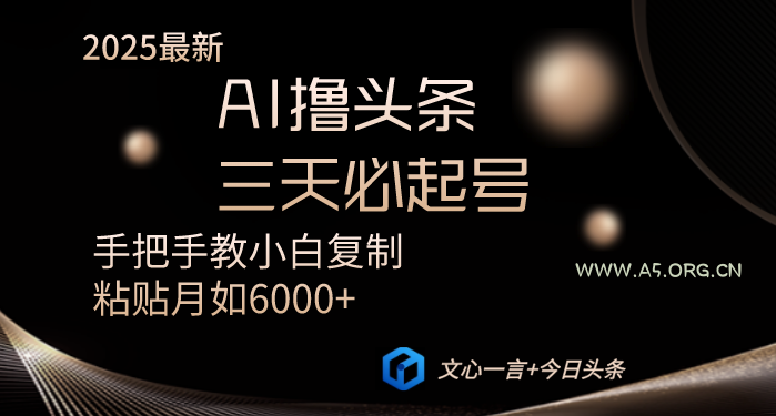 AI撸头条三天必起号手把手教小白复制粘贴月入6000+教程-A5资源网