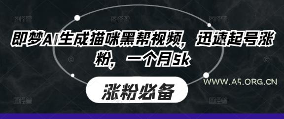 即梦AI生成猫咪黑帮视频，迅速起号涨粉，一个月5k-A5资源网