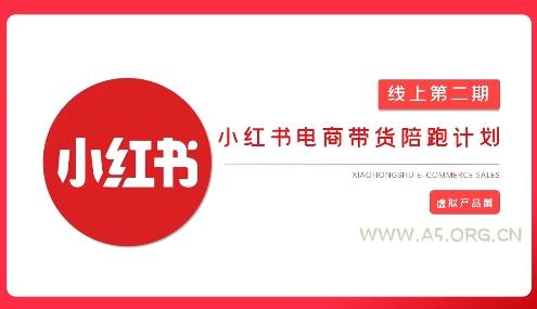 2025小红书虚拟电商实战课，从0到1打造无货源店铺，AI+爆款笔记轻松变现-A5资源网
