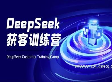 DeepSeek获客训练营-ai电商教程-A5资源网