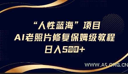 人性蓝海AI老照片修复项目保姆级教程，长期复购，轻松日入5张-A5资源网