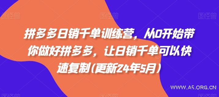 拼多多日销千单训练营，从0开始带你做好拼多多，让日销千单可以快速复制(更新25年9月)-A5资源网