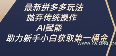 最新拼多多玩法，抛弃传统操作，AI赋能，助力新手小白获取第一桶金-A5资源网
