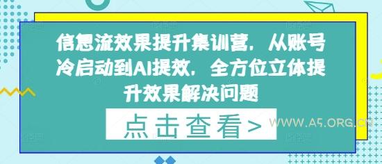 信息流效果提升集训营，从账号冷启动到AI提效，全方位立体提升效果解决问题-A5资源网