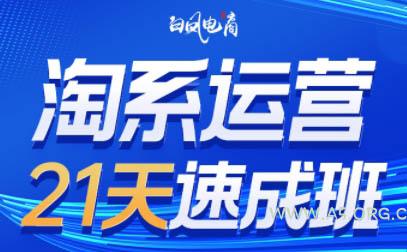 白凤电商·淘系运营21天速成班(更新9月)-A5资源网