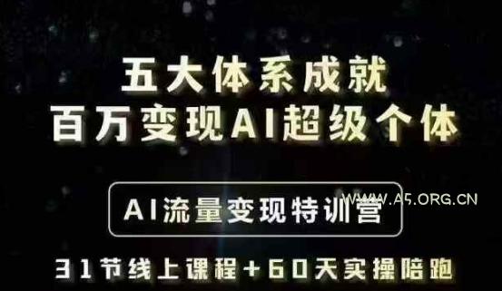 五大体系成就百万变现AI超级个体- AI流量变现特训营，一步一步教你一个人怎么年入百W-A5资源网