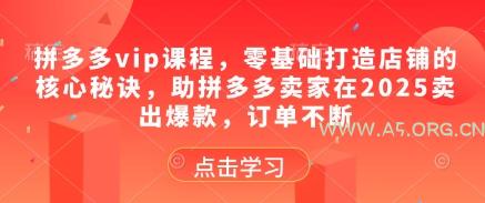 拼多多vip课程，零基础打造店铺的核心秘诀，助拼多多卖家在2025卖出爆款，订单不断-A5资源网