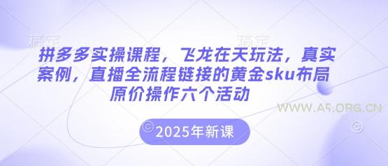 拼多多实操课程，飞龙在天玩法，真实案例，直播全流程链接的黄金sku布局原价操作六个活动-A5资源网