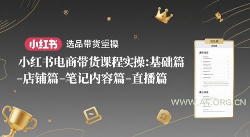 小红书电商带货课程实操：基础篇-选品篇-店铺篇-笔记内容篇-直播篇-A5资源网