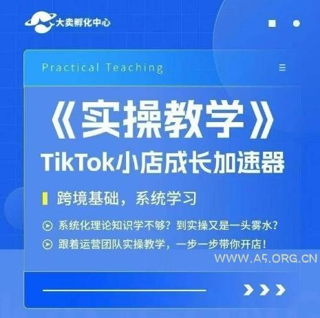 大卖家孵化中心TikTok实操课，TikTok小店成长加速器，跨境基础系统学习，一步一步带你开店-A5资源网