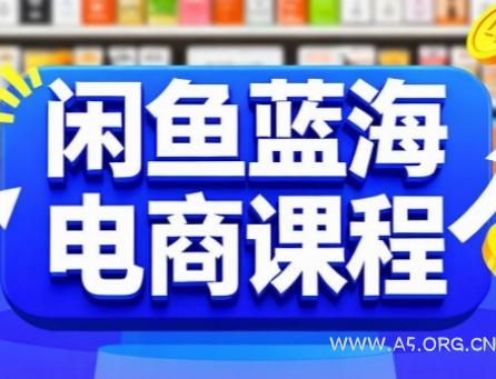 闲鱼蓝海电商课程，手把手助你快速上手，轻松实现闲鱼稳定盈利-A5资源网