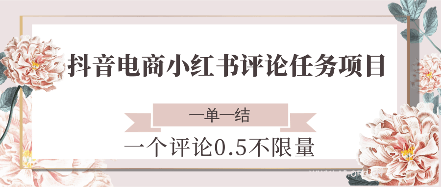 抖音电商小红书评论任务项目，一个评论0.5，一单一结 不限量-A5资源网
