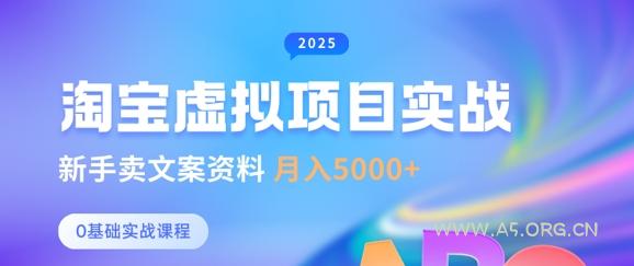 淘宝虚拟项目垂直玩法，新手卖文案资料，月入5k+-A5资源网