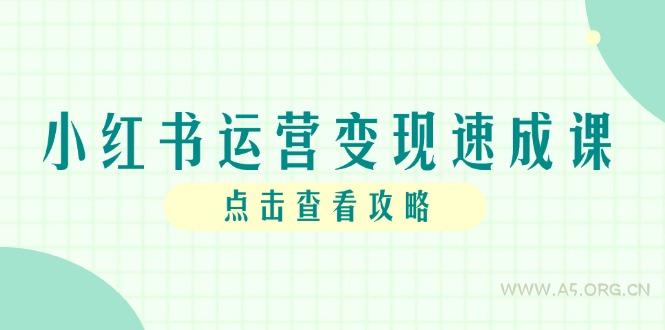 小红书运营变现速成课，账号搭建到暴力起号，个人IP全流程指南-A5资源网
