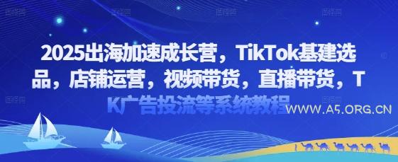 2025出海加速成长营，TikTok基建选品，店铺运营，视频带货，直播带货，TK广告投流等系统教程-A5资源网