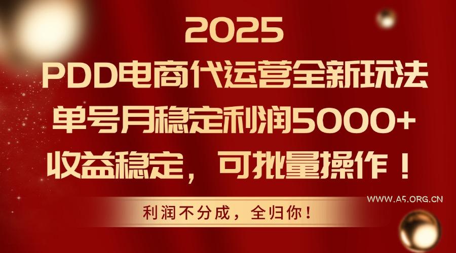 2025PDD电商代运营全新玩法，单号月稳定利润5000+，收益稳定，可批量操作-A5资源网