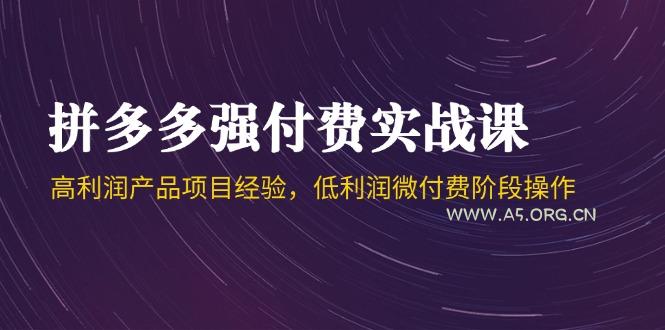 拼多多强付费实战课-44期，高利润产品项目经验，低利润微付费阶段操作-A5资源网